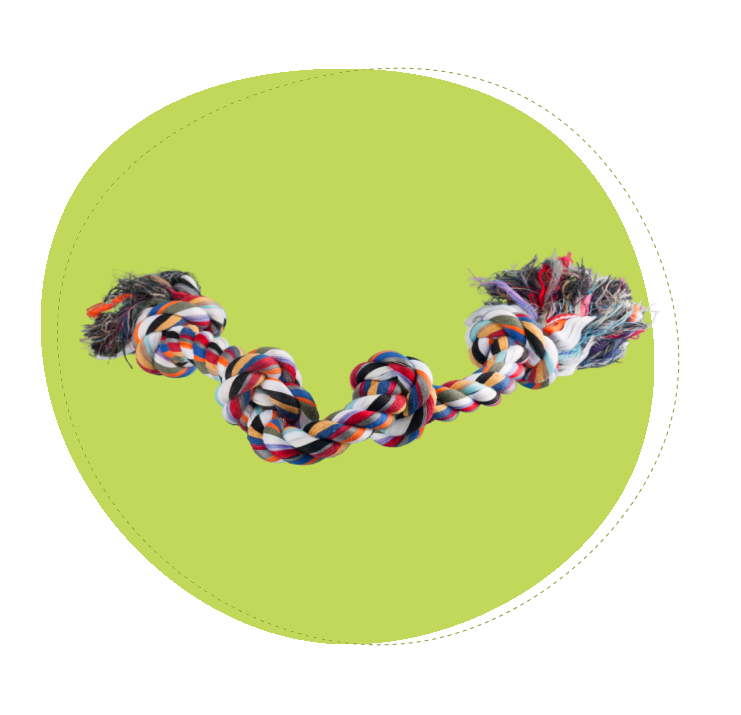 https://antitickcollars.com/wp-content/uploads/2026/07/Hero-image-2.png